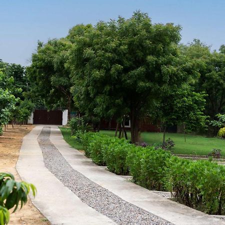 Stayvista At Idyllic Farmhouse - A Glasshouse With Outdoor Pool Gurgaon Esterno foto
